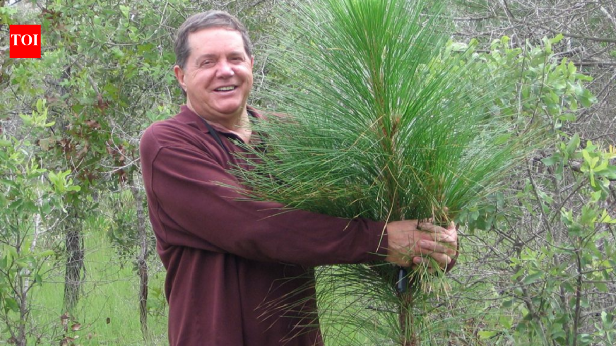 A man bought 51,000 acres of degraded land in Florida; decades later, it became the largest private restoration project east of the Mississippi