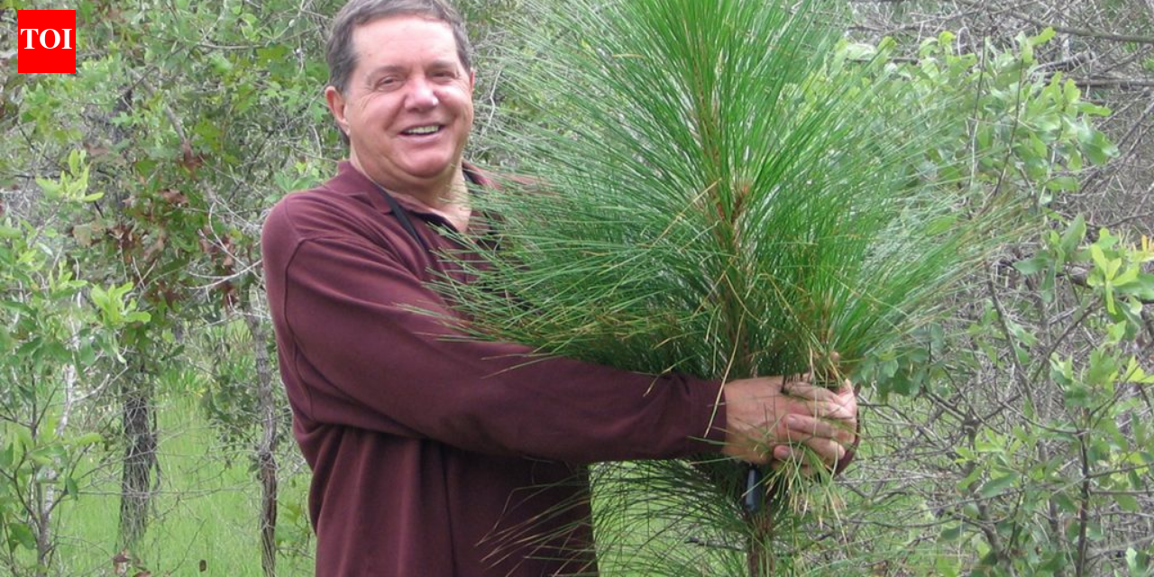A man bought 51,000 acres of degraded land in Florida; decades later, it became the largest private restoration project east of the Mississippi