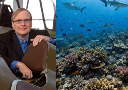 In 2015, Paul Allen launched a global shark survey across 58 countries; cameras later found sharks missing from nearly 20% of reefs