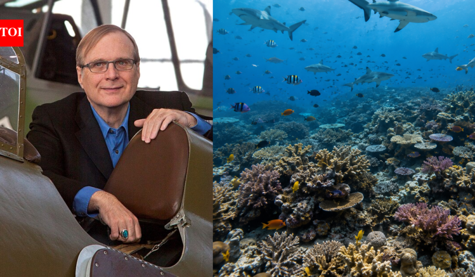 In 2015, Paul Allen launched a global shark survey across 58 countries; cameras later found sharks missing from nearly 20% of reefs