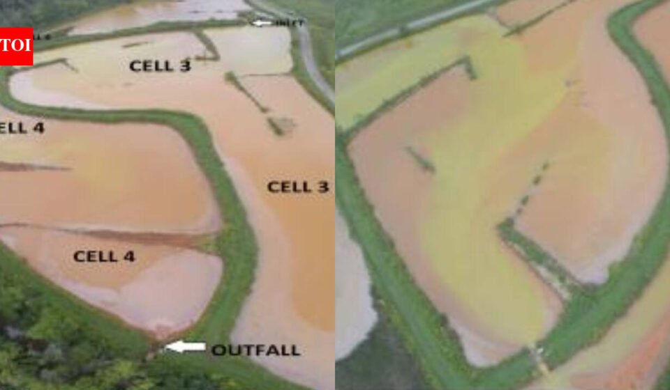 In 2019, US researchers added fluorescent dye to a Pennsylvania mine-water wetland and flew 12 drone missions; a system designed for 29-hour retention held water for only 4.65 hours