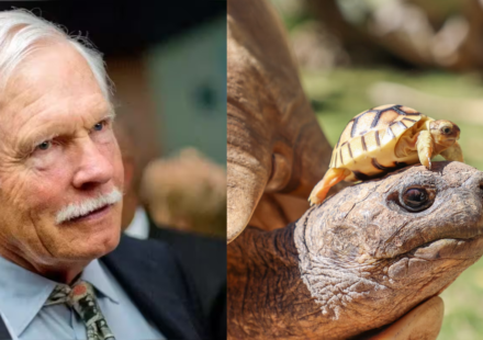 CNN founder Ted Turner’s New Mexico ranch helped save North America’s rarest large tortoise, growing its population from 30 to about 800