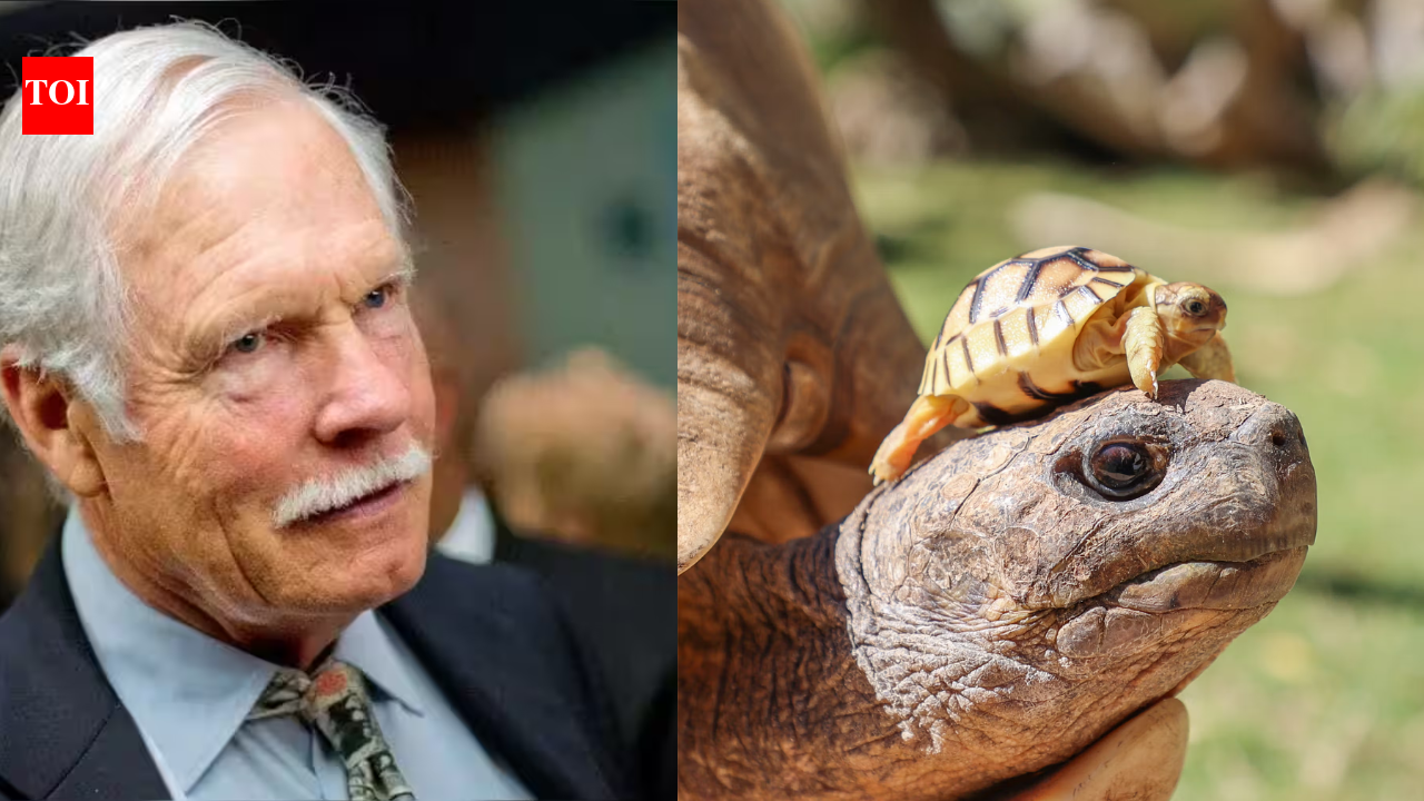 CNN founder Ted Turner’s New Mexico ranch helped save North America’s rarest large tortoise, growing its population from 30 to about 800