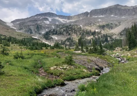 From 1886 to 1968, more than 20 million fish were stocked in waters that became Rocky Mountain National Park; in 2026 crews treated 14.3 miles to remove non-native fish and restore threatened greenback trout