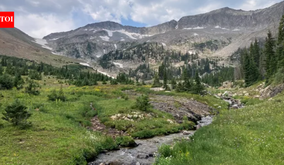 From 1886 to 1968, more than 20 million fish were stocked in waters that became Rocky Mountain National Park; in 2026 crews treated 14.3 miles to remove non-native fish and restore threatened greenback trout