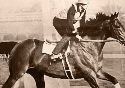In the 1940s, Seabiscuit retired to a California ranch; decades later its redwoods, oak woodlands and wetlands became a conservation priority