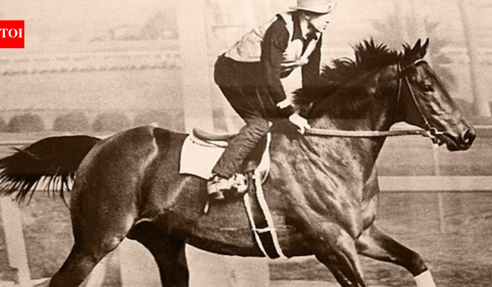 In the 1940s, Seabiscuit retired to a California ranch; decades later its redwoods, oak woodlands and wetlands became a conservation priority