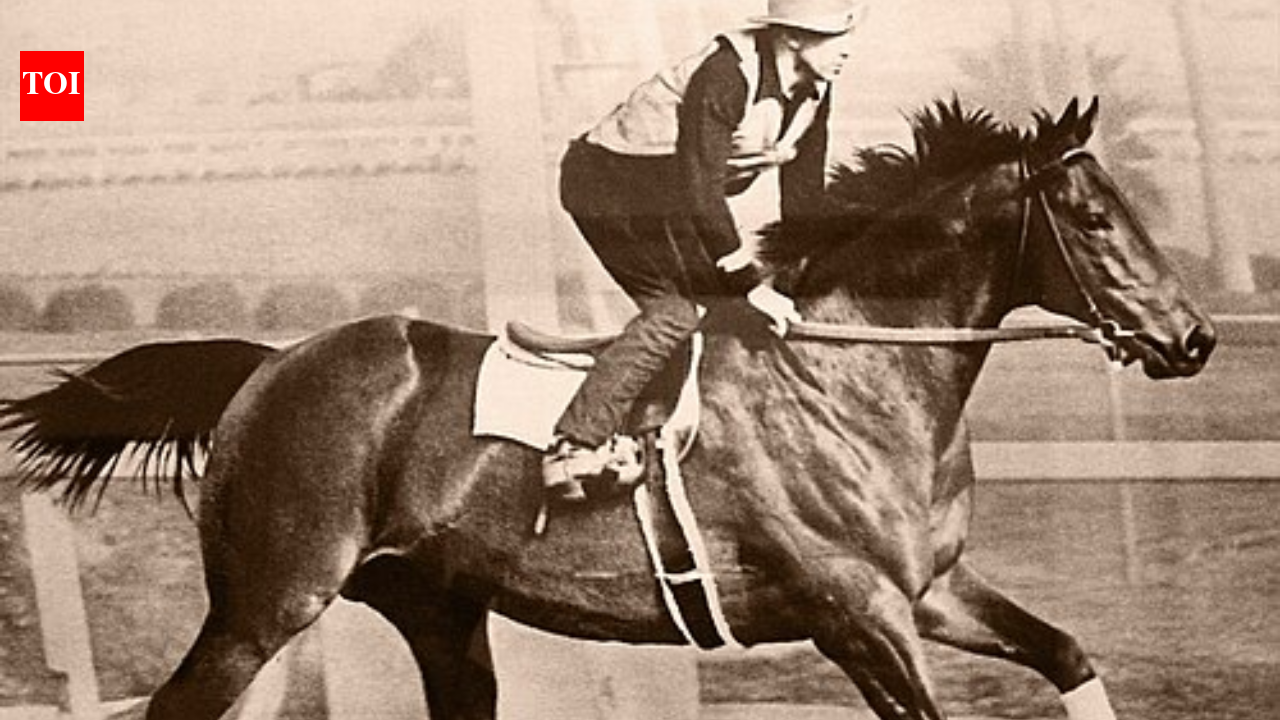 In the 1940s, Seabiscuit retired to a California ranch; decades later its redwoods, oak woodlands and wetlands became a conservation priority