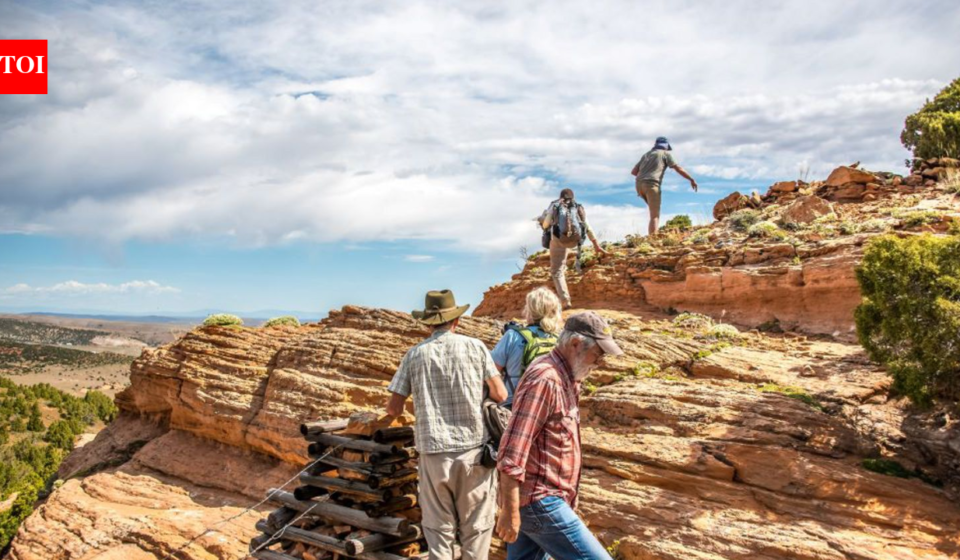 A 5,000-acre Wyoming ranch was bought by conservationists in the 1990s; instead of ending ranching, they kept cattle grazing to protect the ecosystem