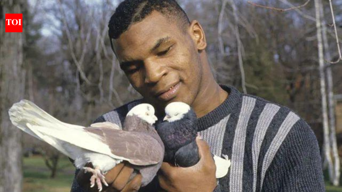 Mike Tyson started keeping pigeons as a bullied Brooklyn boy, finding love and comfort in them; decades later, he still has hundreds of birds across the US
