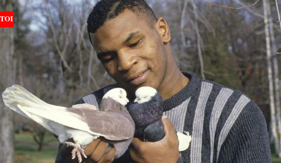 Mike Tyson started keeping pigeons as a bullied Brooklyn boy, finding love and comfort in them; decades later, he still has hundreds of birds across the US
