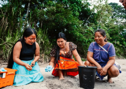 Meet the 'Turtle Women' of Amazon: 7 Indigenous women are bringing vulnerable river turtles back from the brink after releasing 208 baby turtles into the wild