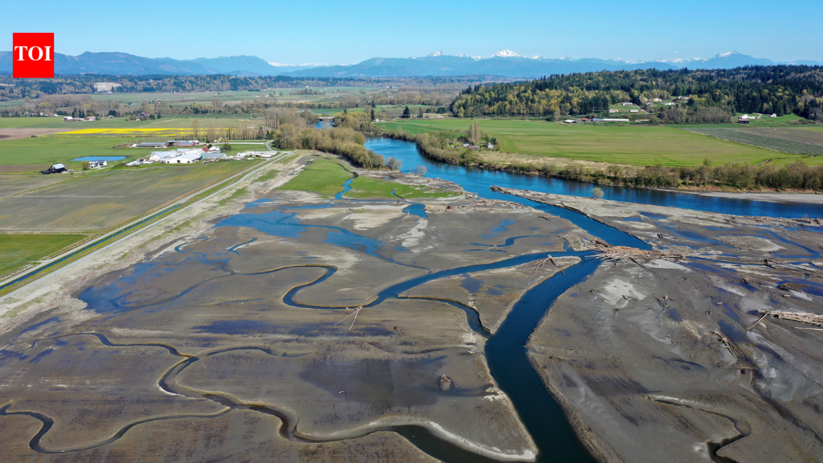 In 2009, Washington removed a century-old dike and let tides reclaim 762 acres; 21 miles of channels reopened, and young Chinook salmon entered the restored marsh in their first migration season