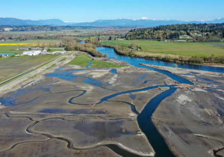 In 2009, Washington removed a century-old dike and let tides reclaim 762 acres; 21 miles of channels reopened, and young Chinook salmon entered the restored marsh in their first migration season