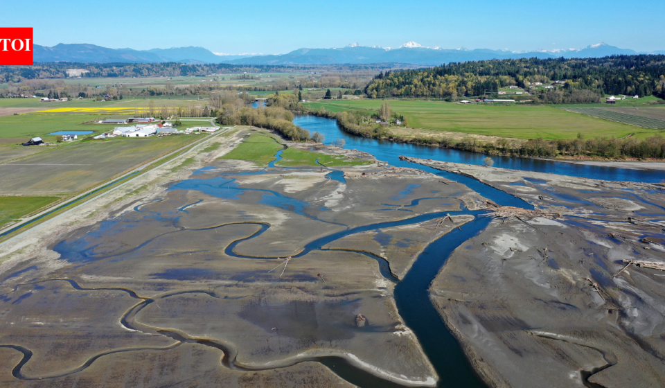 In 2009, Washington removed a century-old dike and let tides reclaim 762 acres; 21 miles of channels reopened, and young Chinook salmon entered the restored marsh in their first migration season