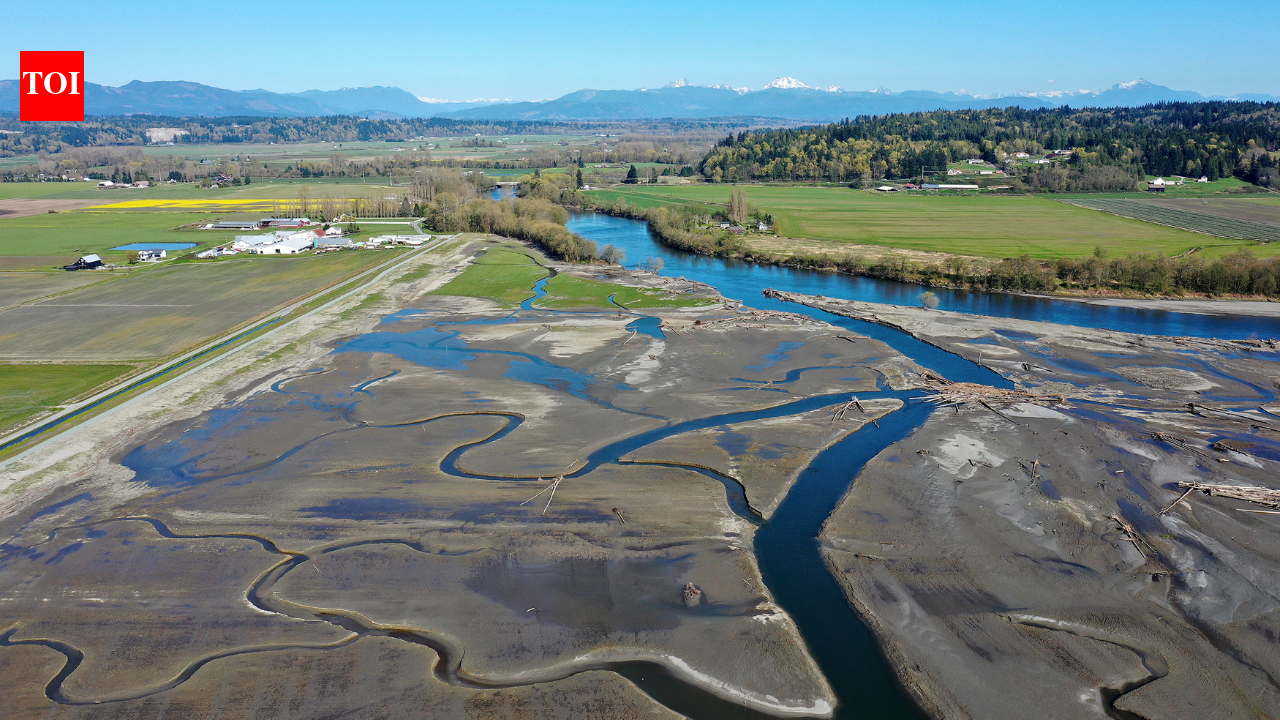 In 2009, Washington removed a century-old dike and let tides reclaim 762 acres; 21 miles of channels reopened, and young Chinook salmon entered the restored marsh in their first migration season