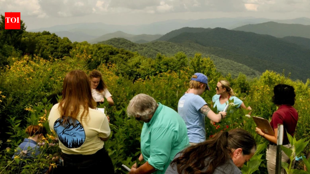 In 1964, a couple bought 535 acres in North Carolina and built a summer home there; decades later, they donated the entire property to Great Smoky Mountains National Park in its largest land gift since the park was created