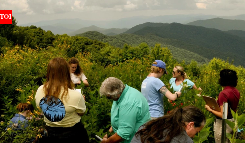 In 1964, a couple bought 535 acres in North Carolina and built a summer home there; decades later, they donated the entire property to Great Smoky Mountains National Park in its largest land gift since the park was created