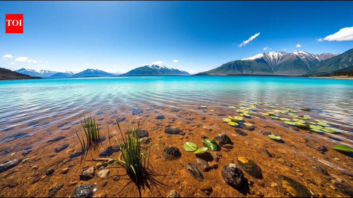 Scientists removed just 20–40% of fish from a degraded Chinese lake; underwater plants and water clarity began recovering