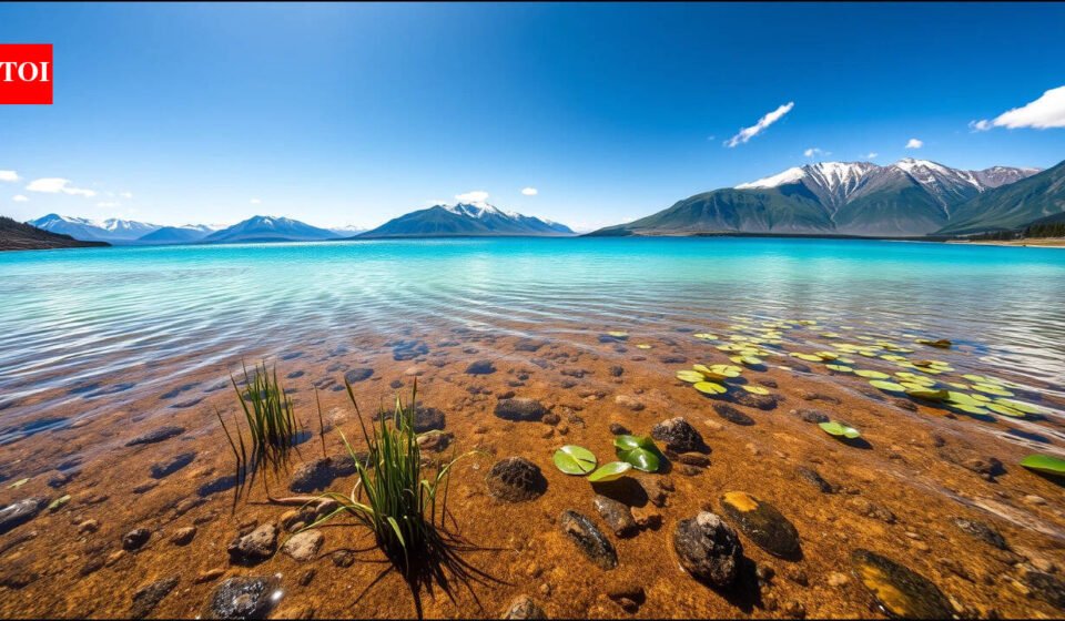 Scientists removed just 20–40% of fish from a degraded Chinese lake; underwater plants and water clarity began recovering