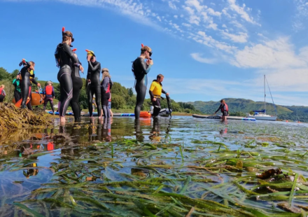 Britain's seagrass meadows were disappearing; a Scottish community transplanted mature shoots instead of seeds and achieved 97% survival