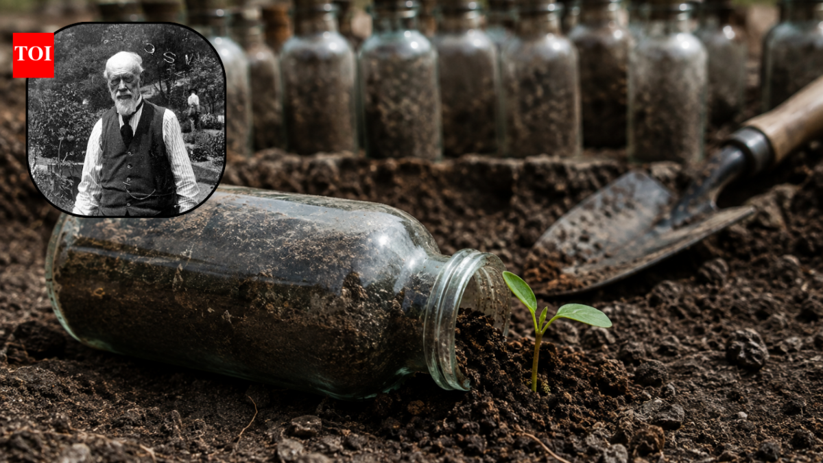 A Michigan scientist buried seeds in 20 glass bottles in 1879; 142 years later, some still grew, and the experiment is set to run until 2100