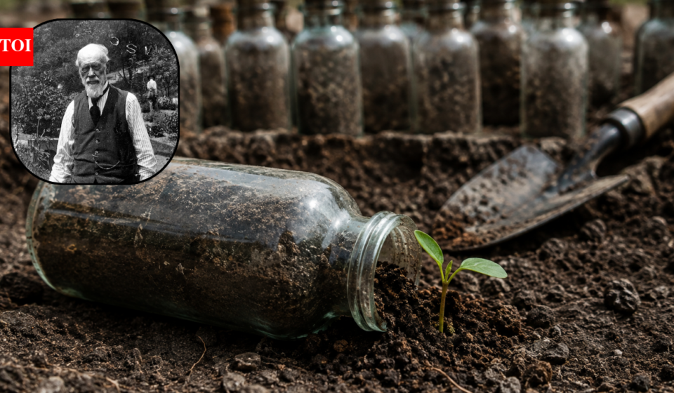 A Michigan scientist buried seeds in 20 glass bottles in 1879; 142 years later, some still grew, and the experiment is set to run until 2100