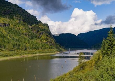 A huge forested island appeared in a British Columbia reservoir, vanished, then resurfaced 30 km away 15 days later with trees, birds and other animals still aboard