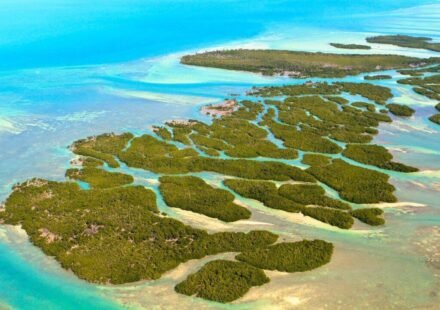 In 1956, a doctor bought a 7.9-acre Florida Keys island from the US at auction with residential zoning; 70 years later, his heirs won a decades-long fight over their right to build