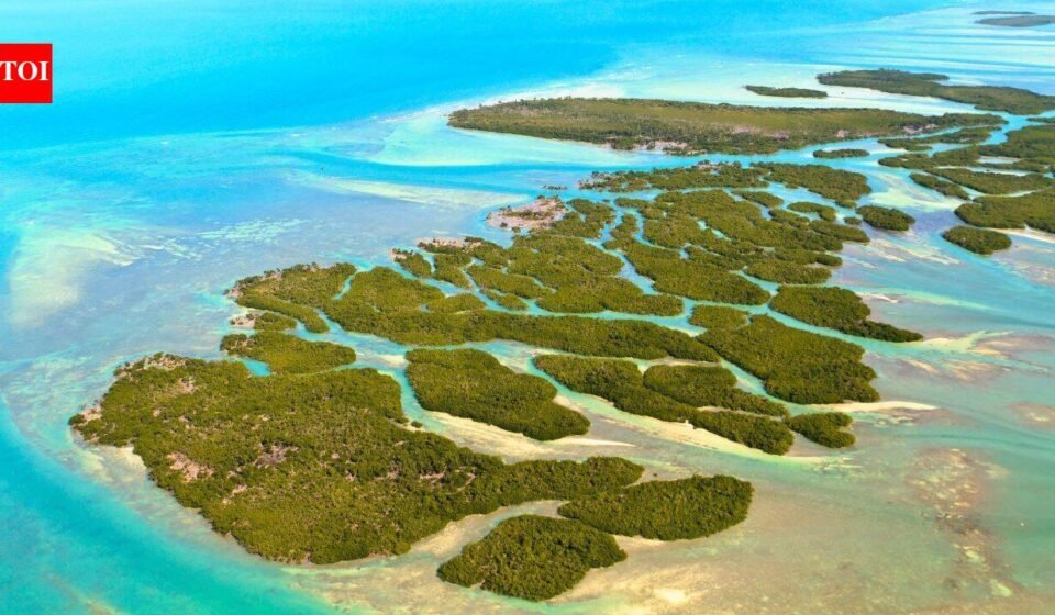 In 1956, a doctor bought a 7.9-acre Florida Keys island from the US at auction with residential zoning; 70 years later, his heirs won a decades-long fight over their right to build