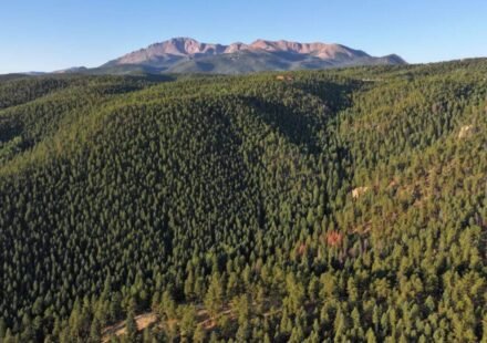 A 674-acre Colorado ranch was listed for $5.9 million as a development site; conservationists bought it instead, permanently protecting land that links to more than 100,000 acres of public space
