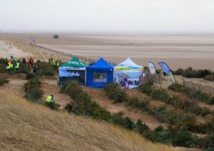 In 2013, a UK beach began planting discarded Christmas trees to trap blowing sand; by 2026, the project had created 90 metres of new dunes that help defend homes from flooding