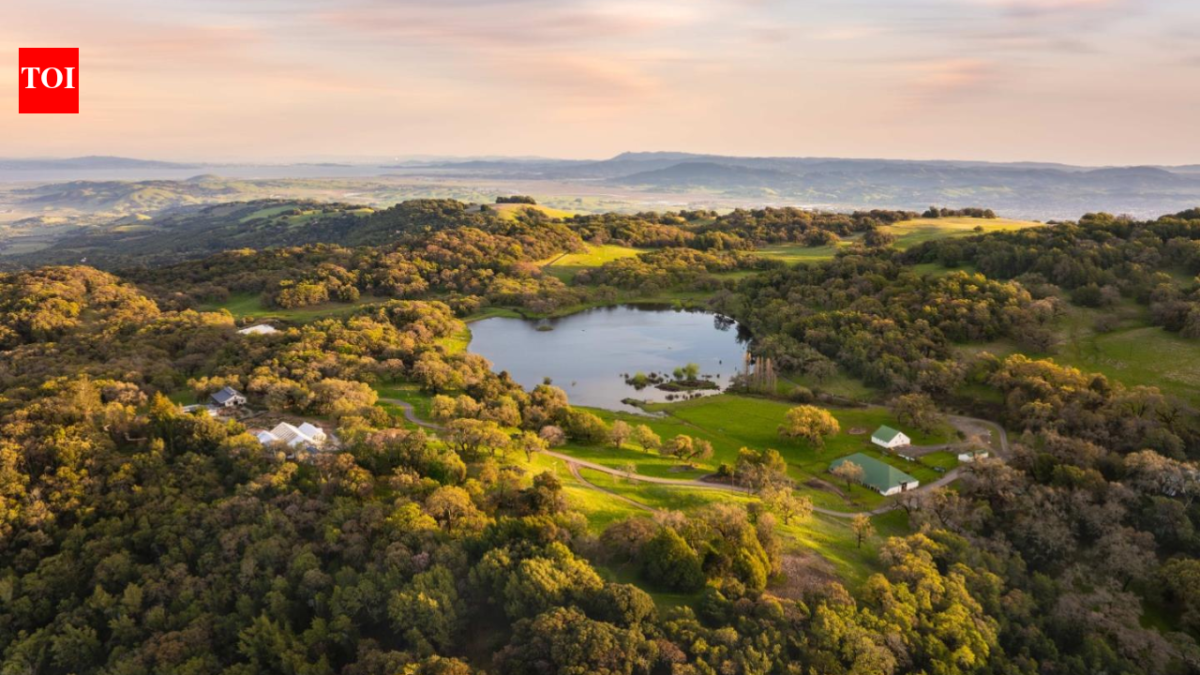 In 2014, a tech entrepreneur bought a 1,100-acre Sonoma ranch for $12 million and spent about $33 million restoring it; 12 years later, it sold for a record $38.5 million