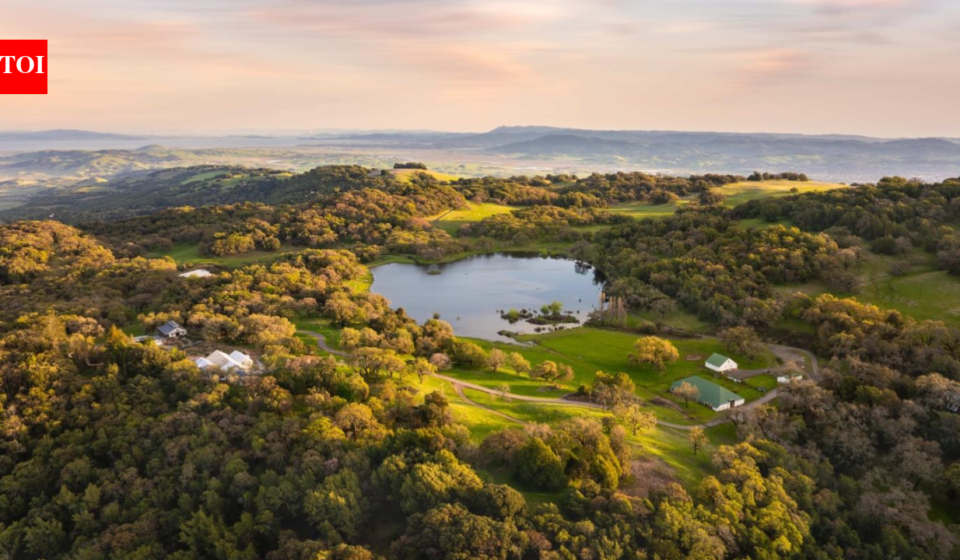 In 2014, a tech entrepreneur bought a 1,100-acre Sonoma ranch for $12 million and spent about $33 million restoring it; 12 years later, it sold for a record $38.5 million