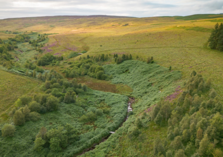 A company bought 7,500 acres of England for £8.5 million to create ‘Britain’s Yellowstone’; after investors are repaid, it plans to give the land to a community or charity