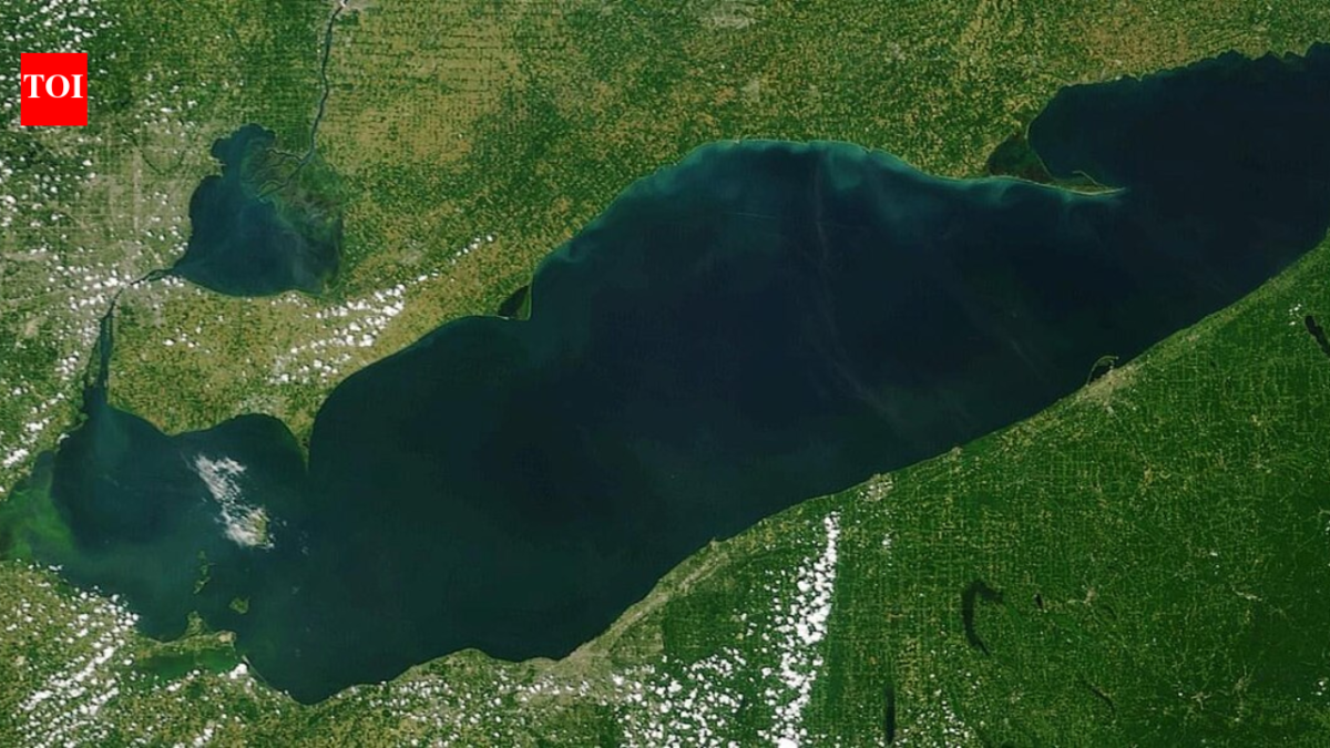 After a 25-acre Lake Erie wetland was reconnected, sonar recorded 3.44 million fish detections over 2,022 monitoring hours across four years, showing the restored habitat was used continuously