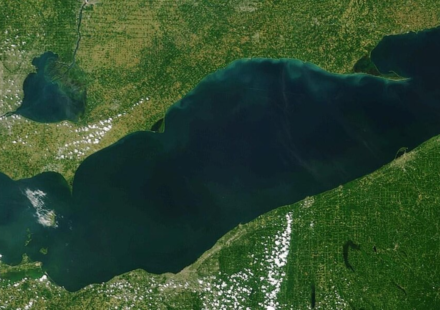After a 25-acre Lake Erie wetland was reconnected, sonar recorded 3.44 million fish detections over 2,022 monitoring hours across four years, showing the restored habitat was used continuously