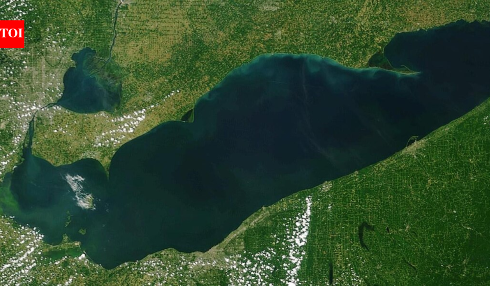 After a 25-acre Lake Erie wetland was reconnected, sonar recorded 3.44 million fish detections over 2,022 monitoring hours across four years, showing the restored habitat was used continuously