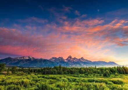 Scientists reconstructed a Wyoming forest from 56-million-year-old fossil leaves; it lost about 60% of its canopy during ancient warming and took more than 100,000 years to recover