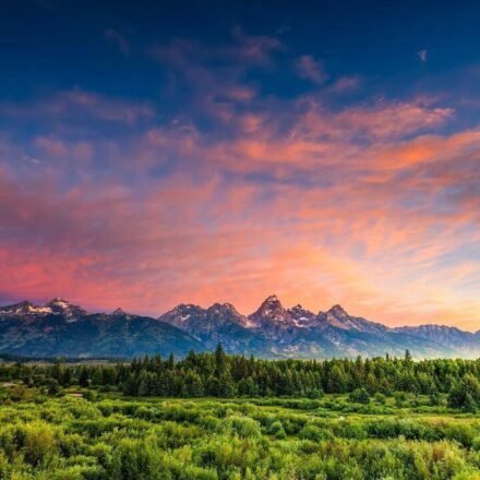 Scientists reconstructed a Wyoming forest from 56-million-year-old fossil leaves; it lost about 60% of its canopy during ancient warming and took more than 100,000 years to recover