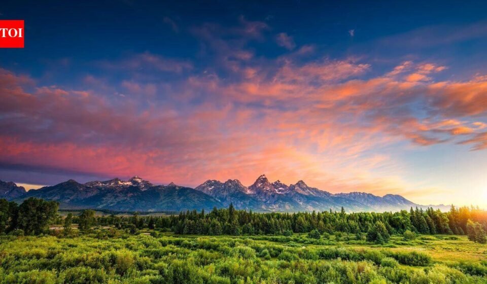 Scientists reconstructed a Wyoming forest from 56-million-year-old fossil leaves; it lost about 60% of its canopy during ancient warming and took more than 100,000 years to recover