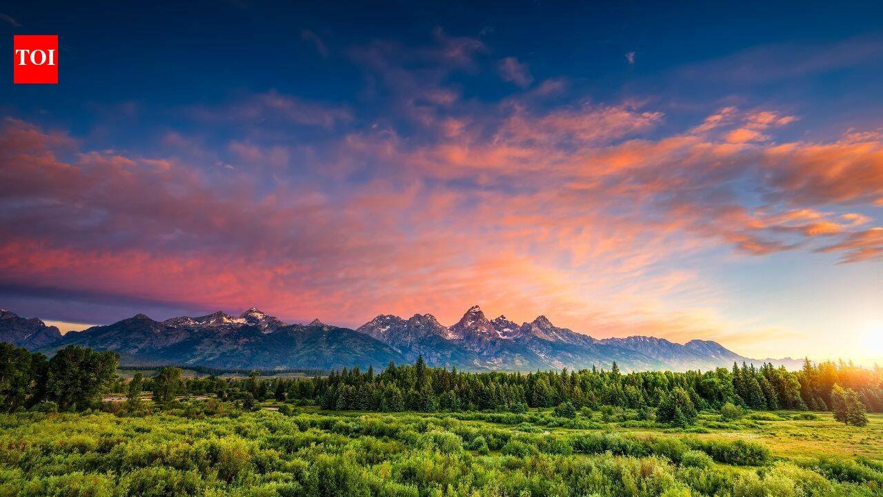 Scientists reconstructed a Wyoming forest from 56-million-year-old fossil leaves; it lost about 60% of its canopy during ancient warming and took more than 100,000 years to recover