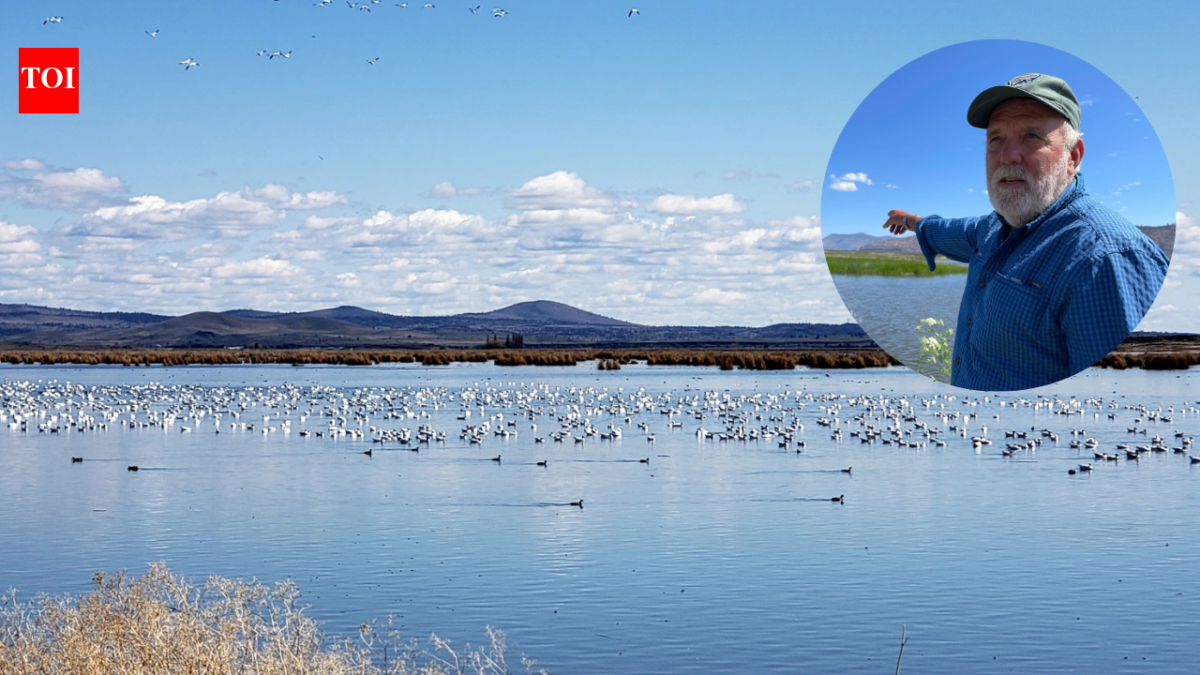 A farmer turned 70 acres of his Oregon barley farm into a wetland; now it hosts 140 bird species and endangered fish