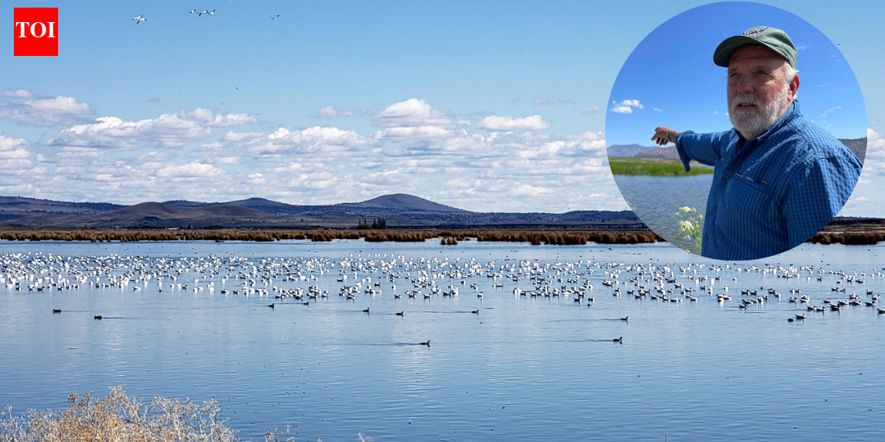 A farmer turned 70 acres of his Oregon barley farm into a wetland; now it hosts 140 bird species and endangered fish