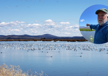 A farmer turned 70 acres of his Oregon barley farm into a wetland; now it hosts 140 bird species and endangered fish