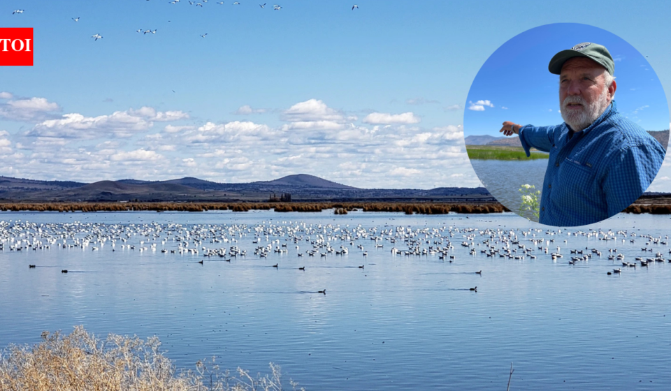 A farmer turned 70 acres of his Oregon barley farm into a wetland; now it hosts 140 bird species and endangered fish