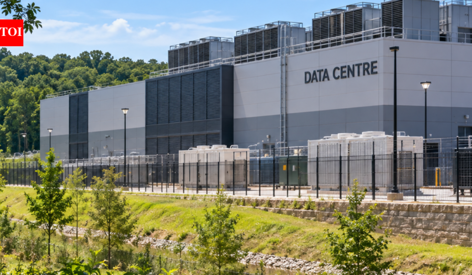 A 69,000 sq ft data centre was planned beside Nashville Zoo; 600,000 people signed against it as a clouded leopard cub became the face of the fight to protect wildlife