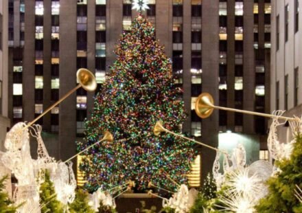 Since 2007, New York's Rockefeller Center Christmas tree has been milled into lumber after the holidays; the wood has helped build Habitat homes from New York to Mississippi