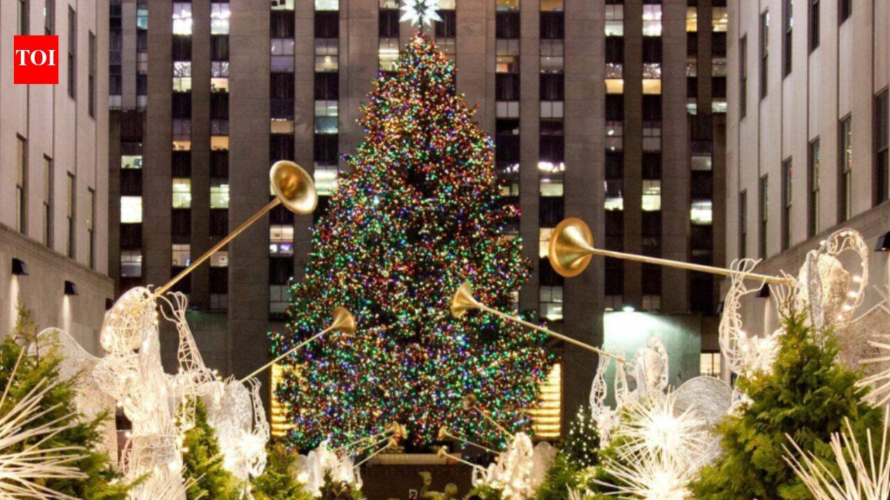 Since 2007, New York's Rockefeller Center Christmas tree has been milled into lumber after the holidays; the wood has helped build Habitat homes from New York to Mississippi