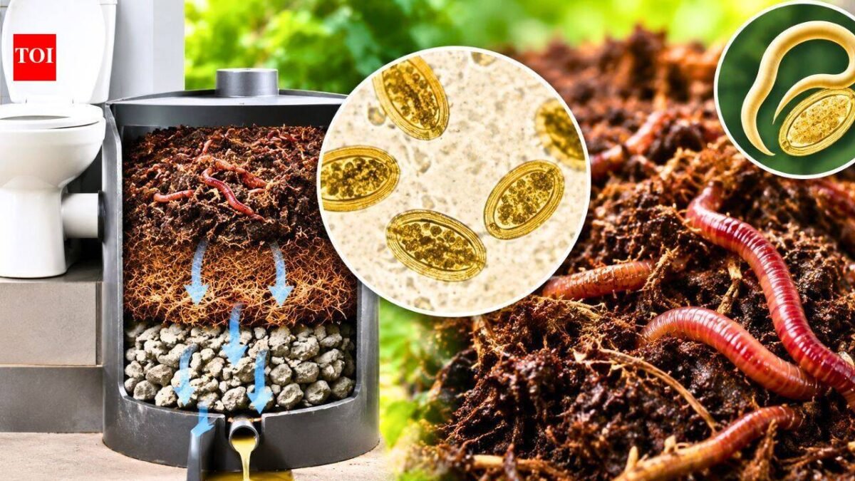 Scientists are using worms that eat human waste to turn toilet waste into compost, but parasitic eggs can survive the process